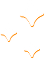 estrelas-produtos estrelas-produtos